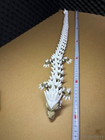 Flexibilný kryštálový drak 3D tisk - 11