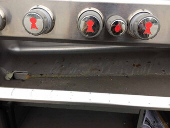 Weber Summit S 670 GBS - 11