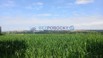 Prodej pozemků o celkové výměře 50.358 m2, Termesivy - Havlí - 11