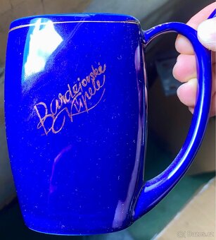 Starožitný porcelán, sochy, vázy, sklo, světla - 11