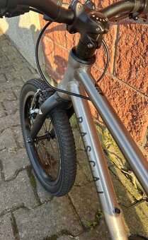 Rascal 16" - 11