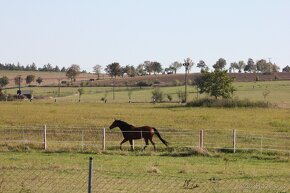 Trekové pastevní ustájení exit34 D1 - 11