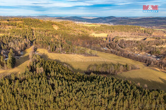 Prodej lesa, 13448 m², Malenice - 11