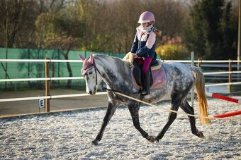 Pony klisna - 11