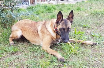 ANGEL K ADOPCI - HLEDÁ SVÉHO ANDĚLA - 11