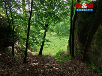 Prodej louky, 1003 m², Vysoká - 11