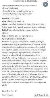 Pánský luxusní parfém Versace ,, Dylan Blue ,, . - 11