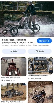 Starší kovový vozík pro tažné psi. - 11