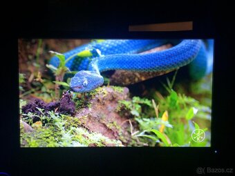 Prodáno - Monitor Dell - 11