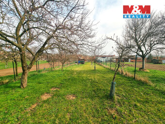 Prodej ovocného sadu, 4096 m², Starý Poddvorov - 11