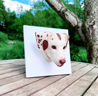 3D fotografie a figurky domácích mazlíčků - 11