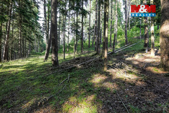 Prodej lesa, 15707 m², Petrovice u Sušice - 11