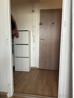Prodej slunečného bytu v Předmostí 2+1 - 11