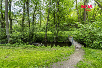 Prodej lesa, 491 m², Bohouňovice I - 11