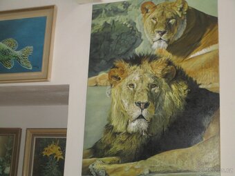 doplnky-obrazy-olejomalba-akvarel - 11