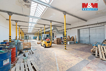 Prodej výrobního objektu, 6921 m², Bílá Třemešná - 11