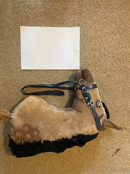 Hobby horse na prodej - 11