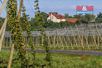 Prodej zahrady, 6000 m², Postoloprty - 11