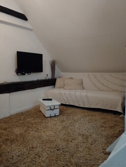 Pronájem Uherské Hradiště - 11
