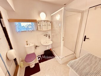 Prodej chalupy, užitná plocha 115 m2 - Křepice, pozemek 479  - 11