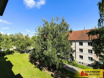 Velké Opatovice, OV 2+1, lodžie, sklepní kóje – byt - 11