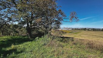 Zahrada u Kyjova o rozloze 1046 m2 - 11