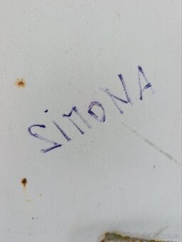 10ft lodní/skladový kontejner SIMONA - 11