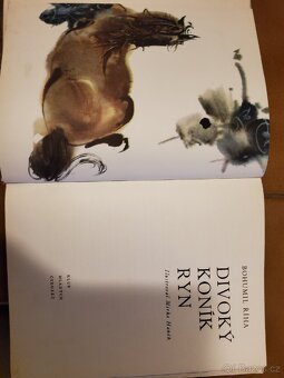 Knížky pro děti (české) - 11