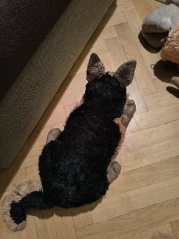 Plyšáci, hračky (různé) - 11