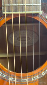 Kytara, elektro akustická kytara Washburn HD 10 SCE - 11