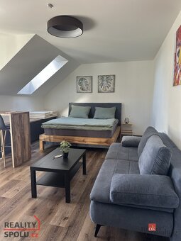 Prodej, byty/1+kk, 52 m2, Žižkova 134, 79326 Vrbno pod Pradě - 11