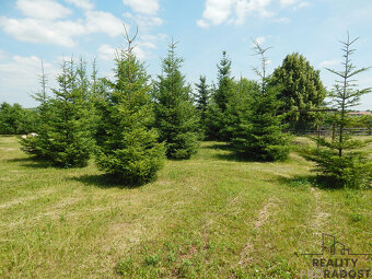 Syrovice, prodej pozemku 3307 m2 - 11