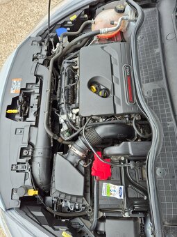 Fiesta ST Mk8 Performance - 11