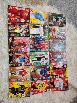 Fotbalové kartičky Panini - 11