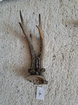 různé starožitné věci - 11