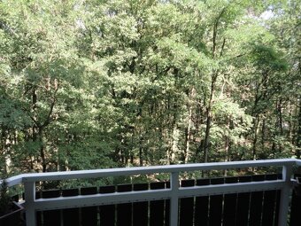Pronájem 3+1, ulice Bellova, Kohoutovice, 85 m2, 2x balkon - 11