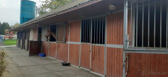 Nabízíme  k prodeji jezdecký areál s halou, kolbištěm, výběh - 11
