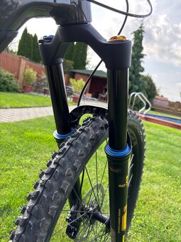Intense Tazer MX - 11