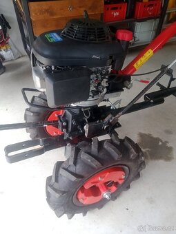 Vari,Tera ,Honda - 11