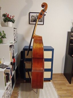 Kontrabas 3/4 - 11