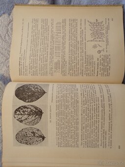 Zemědělská Fytopatologie 1, 2, 3. - 11