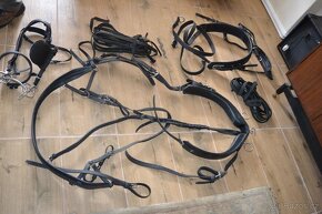 sulka riksa gig dvojkolka jako maratonak/morgan kone popruhy - 11