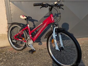 Dětské kolo Leader Fox Spider 24" - 11