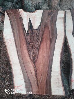 Super tmavé ořechové XXXL fošny a koláče - 11