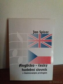 Cesko-Anglicke, Anglicko ceske slovniky, velký výběr - 11