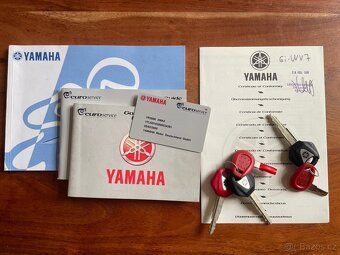 Yamaha XMAX 250 - 11