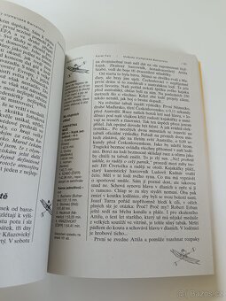 Hvězdy olympijské Barcelony - 11