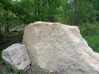 Prodej podílu 1/3 na LV 559 -  2.2 ha galerie v Liberci - 11
