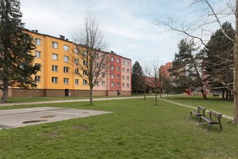 Prodej bytu 3+1 70 m² - 11