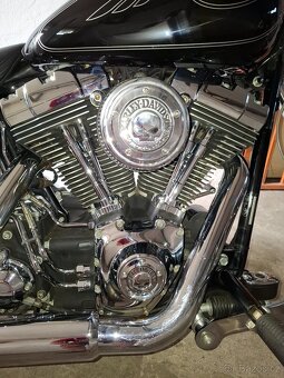 Harley davidson softail custon fxstc - 11